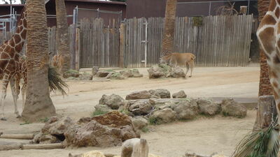 DSC04046.JPG