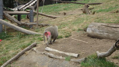 DSC04056.JPG