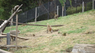 DSC04057.JPG