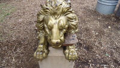 DSC04122.JPG
