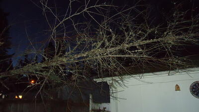 DSC04383.JPG