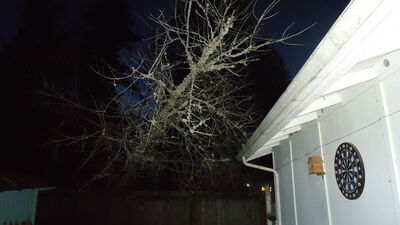 DSC04384.JPG
