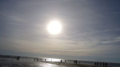 DSC04481.JPG