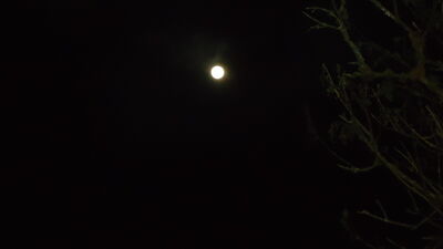 DSC04487.JPG