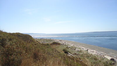 DSC04791.JPG