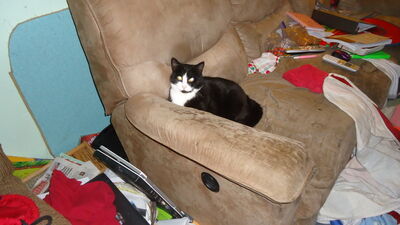 DSC04920.JPG