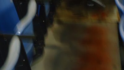 DSC04923.JPG