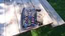 Filename=DSC03479.JPG
Filesize=334KiB
Dimensions=1080x608
Date added=Mar 26, 2024 DSC03479.JPG