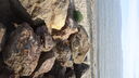 Filename=DSC03492.JPG
Filesize=336KiB
Dimensions=1080x608
Date added=Mar 26, 2024 DSC03492.JPG