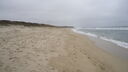 Filename=DSC03520.JPG
Filesize=215KiB
Dimensions=1080x608
Date added=Mar 26, 2024 DSC03520.JPG