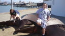 Filename=DSC03614.JPG
Filesize=295KiB
Dimensions=1080x608
Date added=Mar 26, 2024 DSC03614.JPG
