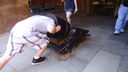 Filename=DSC03668.JPG
Filesize=302KiB
Dimensions=1080x608
Date added=Mar 26, 2024 DSC03668.JPG