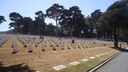 Filename=DSC03687.JPG
Filesize=371KiB
Dimensions=1080x608
Date added=Mar 26, 2024 DSC03687.JPG