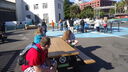 Filename=DSC03708.JPG
Filesize=347KiB
Dimensions=1080x608
Date added=Mar 26, 2024 DSC03708.JPG
