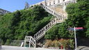 Filename=DSC03729.JPG
Filesize=404KiB
Dimensions=1080x608
Date added=Mar 26, 2024 DSC03729.JPG