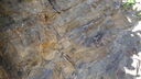 DSC03731.JPG