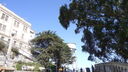DSC03732.JPG