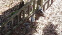 DSC03733.JPG