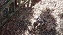 DSC03734.JPG