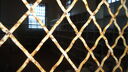 Filename=DSC03742.JPG
Filesize=277KiB
Dimensions=1080x608
Date added=Mar 26, 2024 DSC03742.JPG