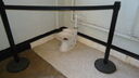Filename=DSC03745.JPG
Filesize=249KiB
Dimensions=1080x608
Date added=Mar 26, 2024 DSC03745.JPG