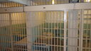 Filename=DSC03754.JPG
Filesize=294KiB
Dimensions=1080x608
Date added=Mar 26, 2024 DSC03754.JPG