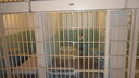 Filename=DSC03756.JPG
Filesize=285KiB
Dimensions=1080x608
Date added=Mar 26, 2024 DSC03756.JPG