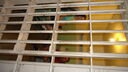 Filename=DSC03769.JPG
Filesize=292KiB
Dimensions=1080x608
Date added=Mar 26, 2024 DSC03769.JPG