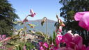 Filename=DSC03808.JPG
Filesize=295KiB
Dimensions=1080x608
Date added=Mar 26, 2024 DSC03808.JPG