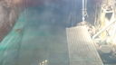 Filename=DSC03813.JPG
Filesize=215KiB
Dimensions=1080x608
Date added=Mar 26, 2024 DSC03813.JPG