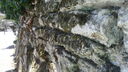 Filename=DSC03821.JPG
Filesize=366KiB
Dimensions=1080x608
Date added=Mar 26, 2024 DSC03821.JPG