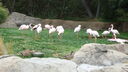 Filename=DSC03939.JPG
Filesize=372KiB
Dimensions=1080x608
Date added=Mar 26, 2024 DSC03939.JPG