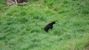 Filename=DSC03944.JPG
Filesize=367KiB
Dimensions=1080x608
Date added=Mar 26, 2024 DSC03944.JPG