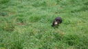 Filename=DSC03945.JPG
Filesize=391KiB
Dimensions=1080x608
Date added=Mar 26, 2024 DSC03945.JPG