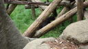 Filename=DSC03946.JPG
Filesize=360KiB
Dimensions=1080x608
Date added=Mar 26, 2024 DSC03946.JPG