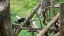 Filename=DSC03947.JPG
Filesize=336KiB
Dimensions=1080x608
Date added=Mar 26, 2024 DSC03947.JPG