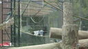 Filename=DSC03955.JPG
Filesize=348KiB
Dimensions=1080x608
Date added=Mar 26, 2024 DSC03955.JPG
