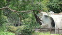 Filename=DSC03957.JPG
Filesize=336KiB
Dimensions=1080x608
Date added=Mar 26, 2024 DSC03957.JPG