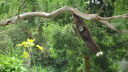 Filename=DSC03960.JPG
Filesize=395KiB
Dimensions=1080x608
Date added=Mar 26, 2024 DSC03960.JPG