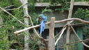 Filename=DSC03962.JPG
Filesize=373KiB
Dimensions=1080x608
Date added=Mar 26, 2024 DSC03962.JPG