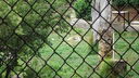 Filename=DSC03965.JPG
Filesize=391KiB
Dimensions=1080x608
Date added=Mar 26, 2024 DSC03965.JPG