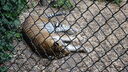 Filename=DSC03966.JPG
Filesize=385KiB
Dimensions=1080x608
Date added=Mar 26, 2024 DSC03966.JPG