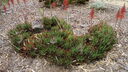Filename=DSC03969.JPG
Filesize=418KiB
Dimensions=1080x608
Date added=Mar 26, 2024 DSC03969.JPG
