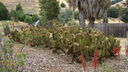 Filename=DSC03970.JPG
Filesize=391KiB
Dimensions=1080x608
Date added=Mar 26, 2024 DSC03970.JPG