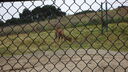 Filename=DSC03977.JPG
Filesize=327KiB
Dimensions=1080x608
Date added=Mar 26, 2024 DSC03977.JPG