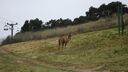 DSC03978.JPG