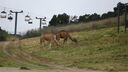 Filename=DSC03982.JPG
Filesize=323KiB
Dimensions=1080x608
Date added=Mar 26, 2024 DSC03982.JPG
