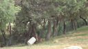 DSC03984.JPG