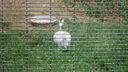 Filename=DSC03988.JPG
Filesize=324KiB
Dimensions=1080x608
Date added=Mar 26, 2024 DSC03988.JPG