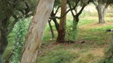 Filename=DSC03991.JPG
Filesize=319KiB
Dimensions=1080x608
Date added=Mar 26, 2024 DSC03991.JPG